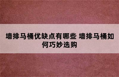 墙排马桶优缺点有哪些 墙排马桶如何巧妙选购